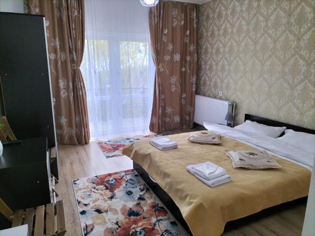 ホテル Conacul Doamnei Nucsoara エクステリア 写真