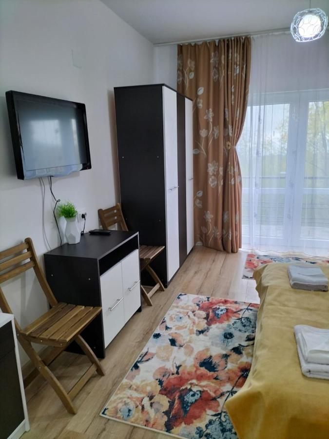 ホテル Conacul Doamnei Nucsoara エクステリア 写真